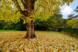 Photo 25- click for photo gallery